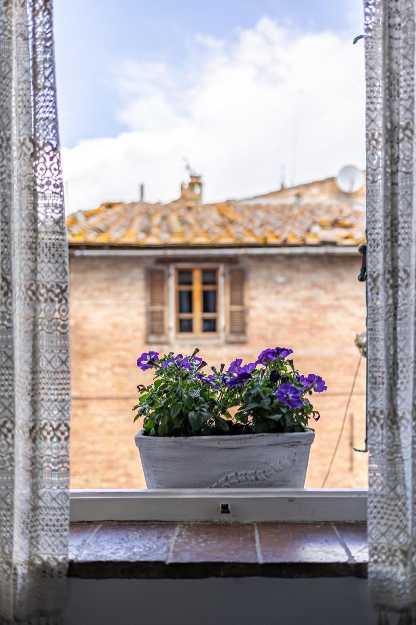 Il Nido Apartment Buonconvento Bagian luar foto